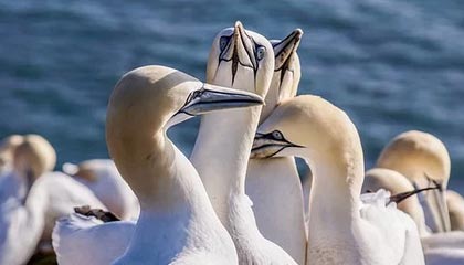 开云体育ios下载-如何看待女足在国际热身赛中的爆冷，如何看待女足在国际热身赛中的爆冷行为