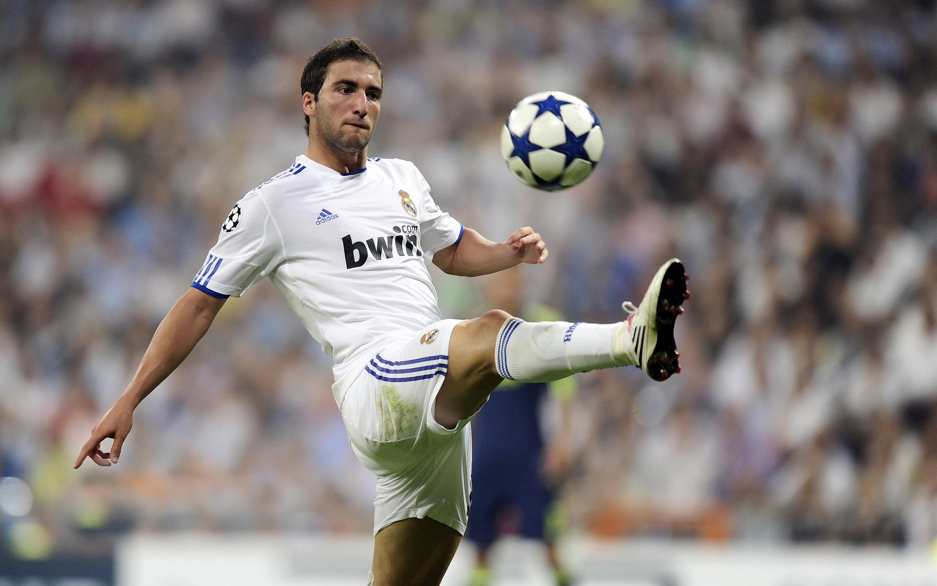 体育场馆绿色节能技术，绿色体育馆的奇特之处